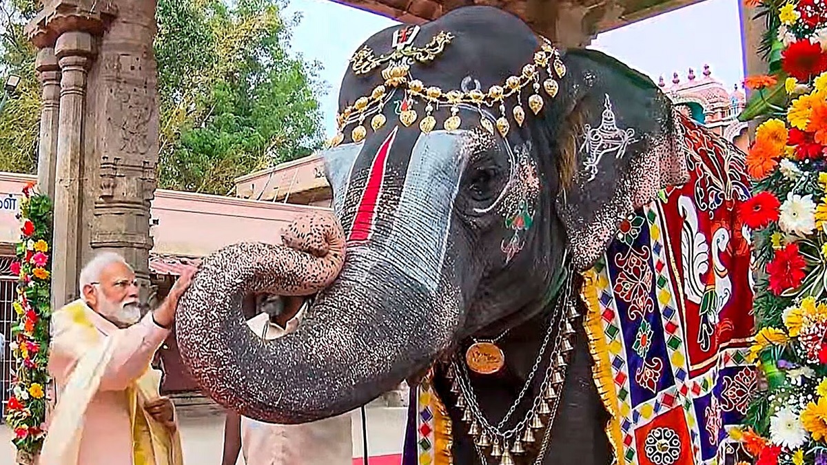 PM Modi performed pooja at Shri Ranganathaswamy temple and took blessings by feeding round to the elephant