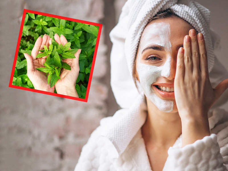 To remove acne from the face, use mint leaves in this way