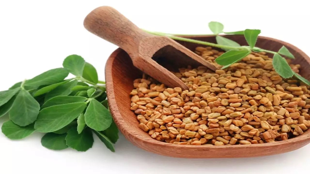 From better digestion to controlling diabetes, eating fenugreek seeds in winter has amazing benefits