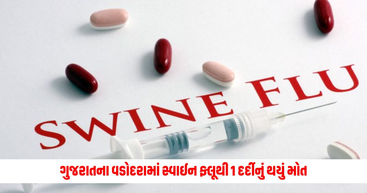 1 patient died of swine flu in Gujarats Vadodara he was admitted to the hospital after testing positive 1