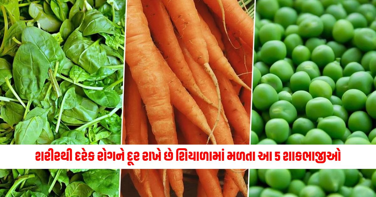 These 5 vegetables found in winter keep every disease away from the body