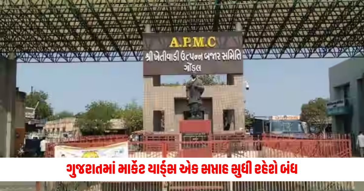 In Gujarat market yards including Gondal Rajkot Bhavnagar Unjha and Tharad will remain closed for a week 1