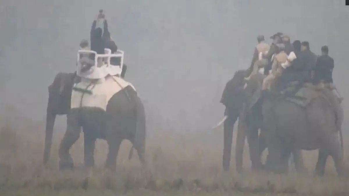 PM Modi reached Kaziranga National Park early in the morning and went on a jungle safari on an elephant