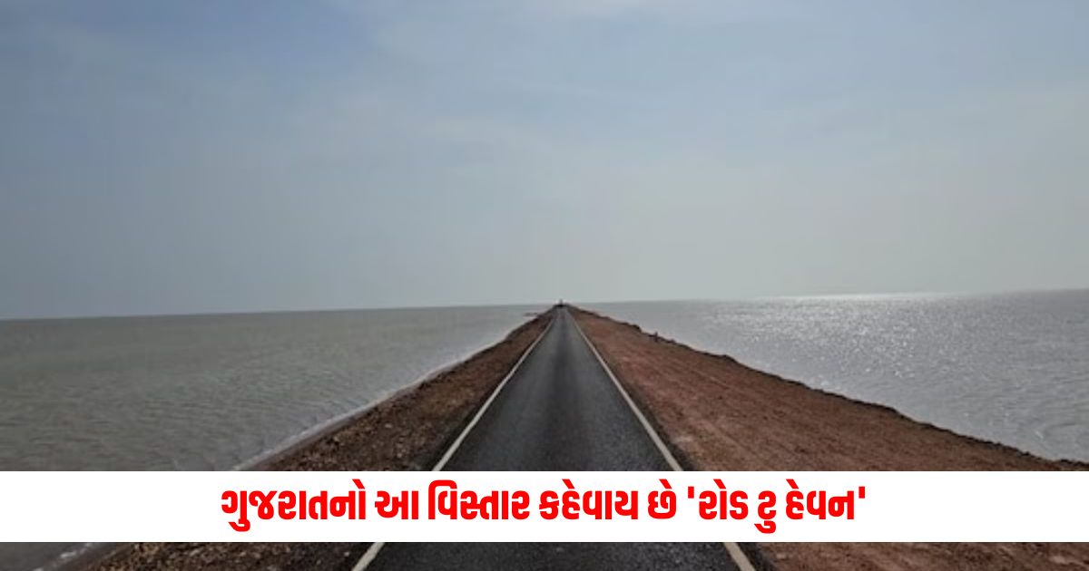 This area of Gujarat is called Road to Heaven a feeling of pride for Gujaratis 1