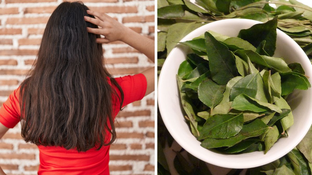 Use curry leaves in 4 ways to make your hair long and thick fast 1