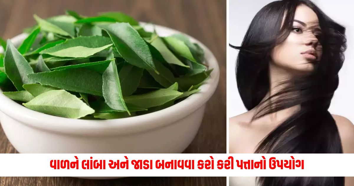 Use curry leaves in 4 ways to make your hair long and thick fast