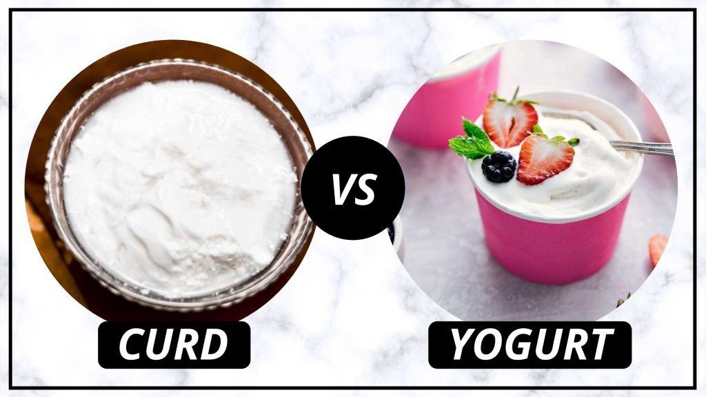 Curd or Yogurt Do you know the difference between Curd and Yogurt know1