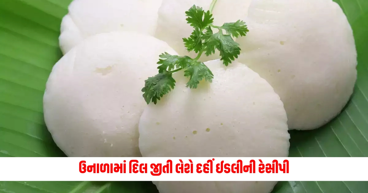 Dahi Idli Recipe Dahi Idli recipe will win hearts in summer stay energetic throughout the day