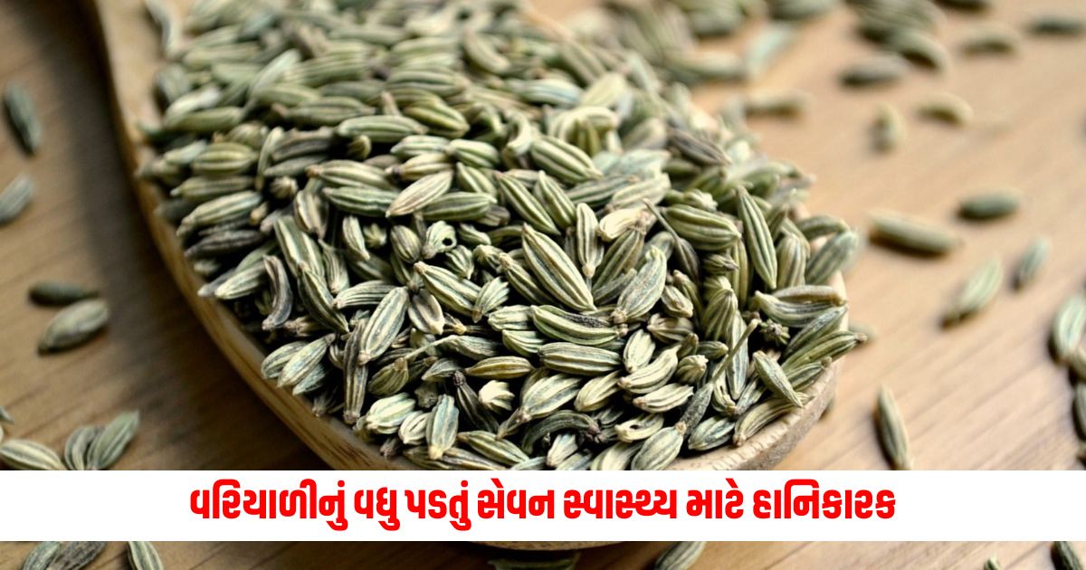 Excessive consumption of fennel in summer is not only beneficial but also harmful these side effects may occur