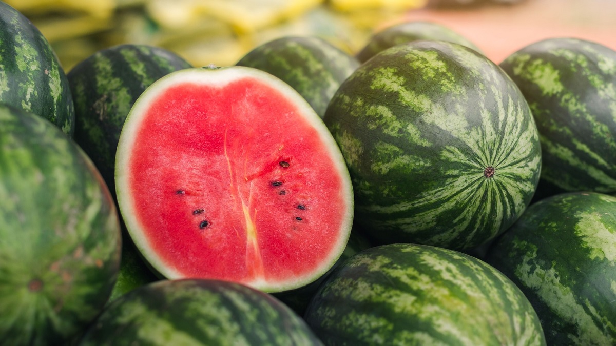 Health Tips Watermelon is rich in benefits know the right time and way to eat it 01