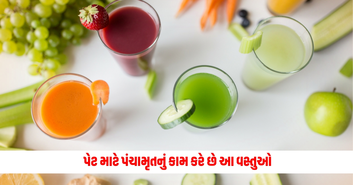 Healthy Drink These items act as Panchamrut for the stomach effective in improving poor digestion in summer