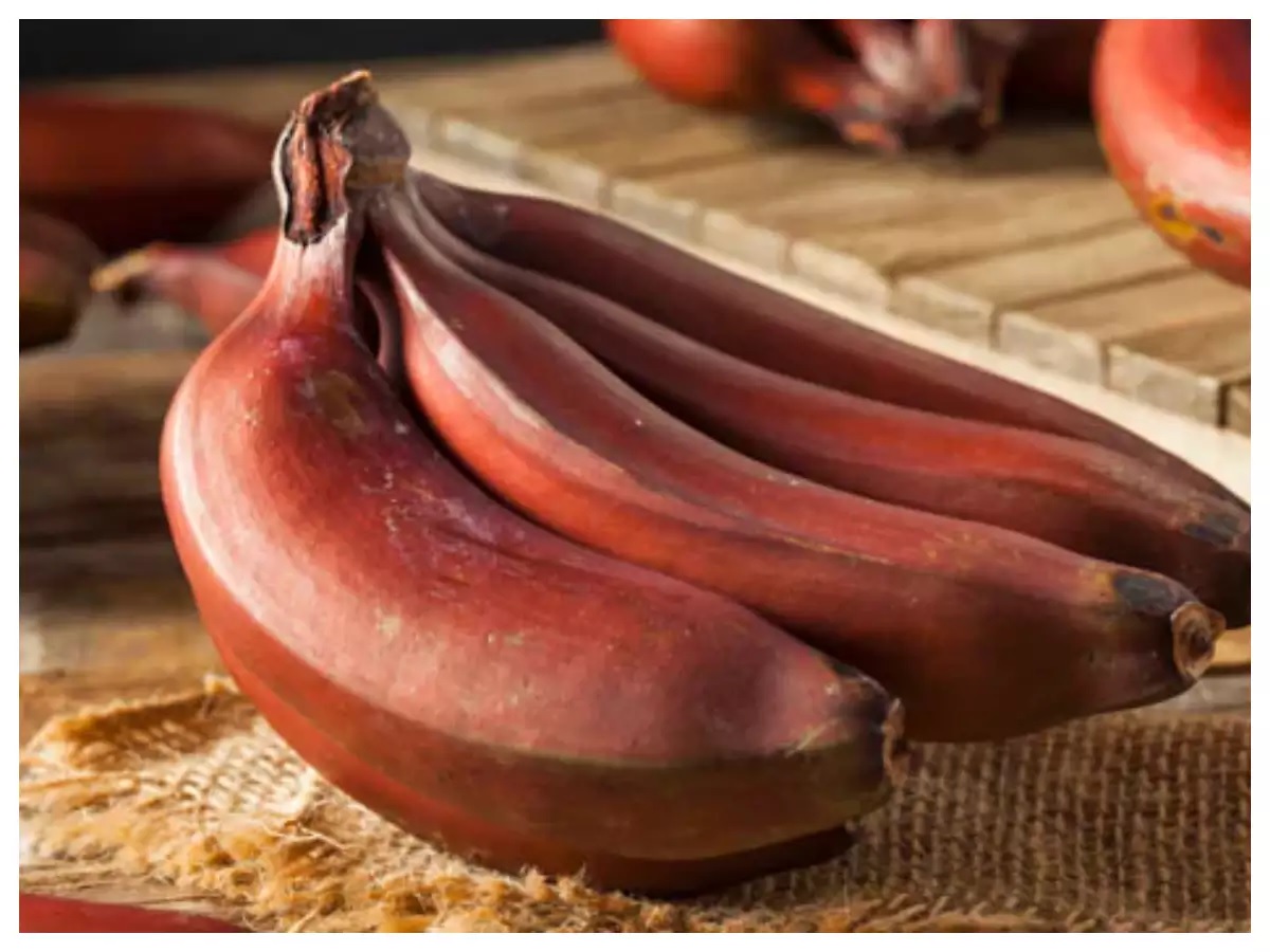 Red Banana Benefits Eating red banana can reduce the risk of many diseases know the benefits1