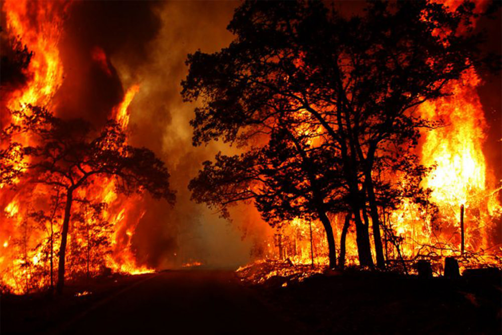 uttarakhand forest fire 750x500 1