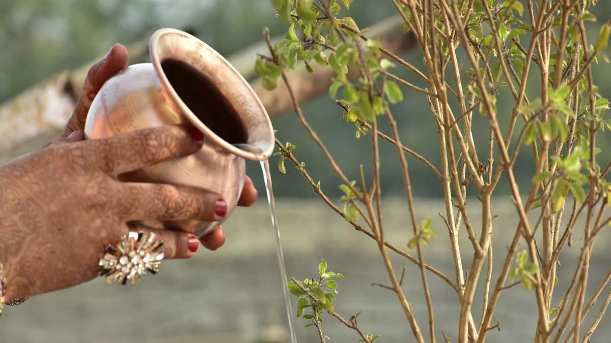 Best metal for offering water to tulsi 2