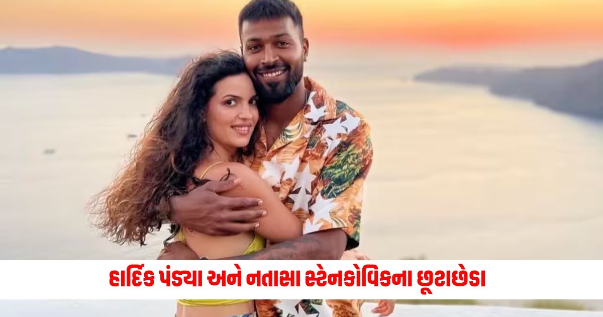 Hardik Pandya and Natasa Stankovics divorce this percentage of property will be transferred