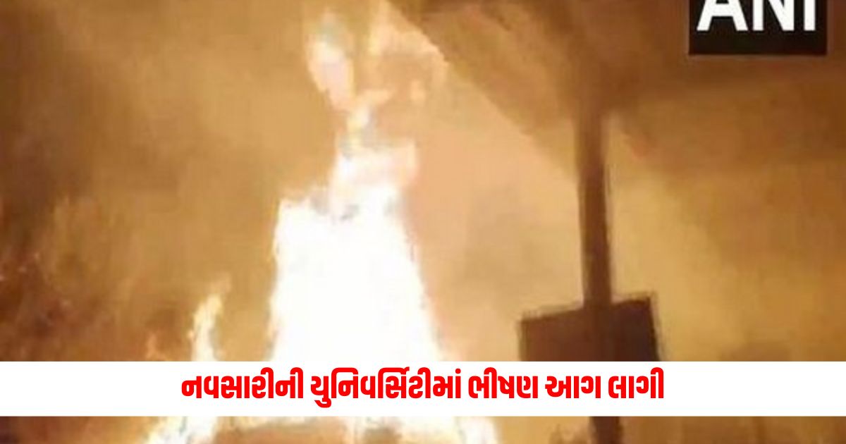 Heavy fire broke out in Navsari University fire brigade brought the fire under control