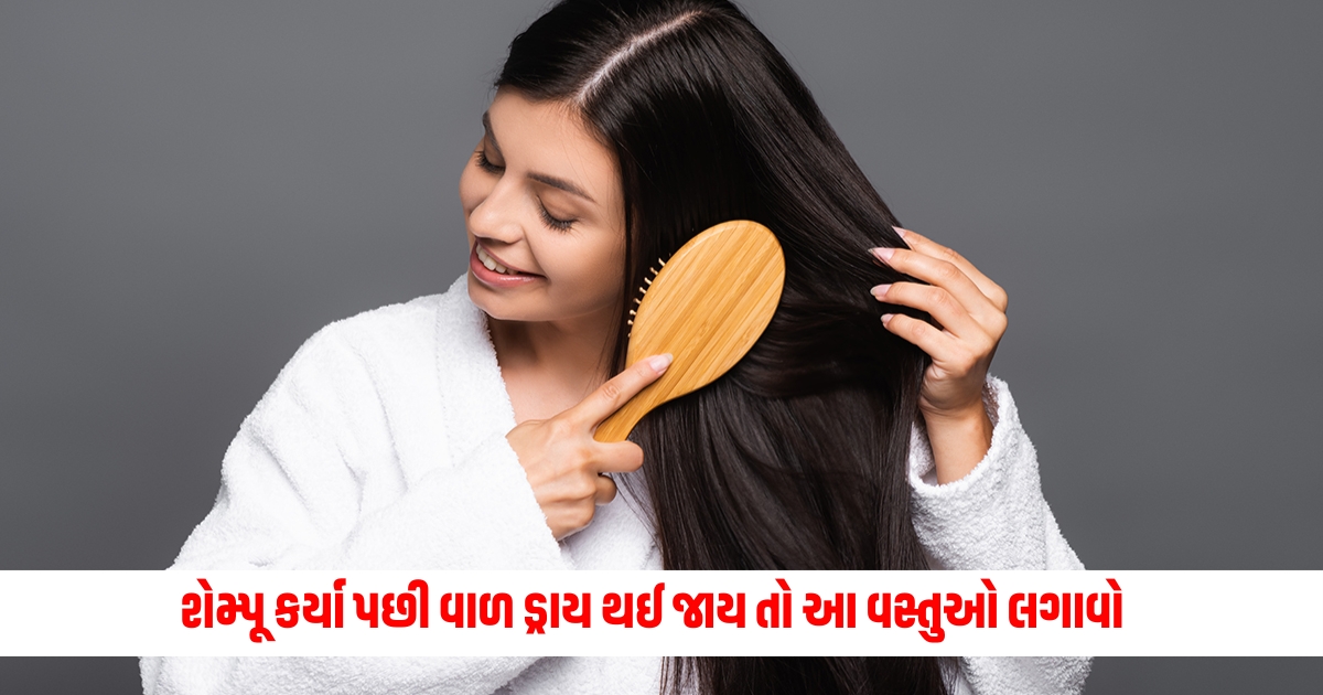 If the hair gets dry after shampooing apply these products the hair will become very shiny