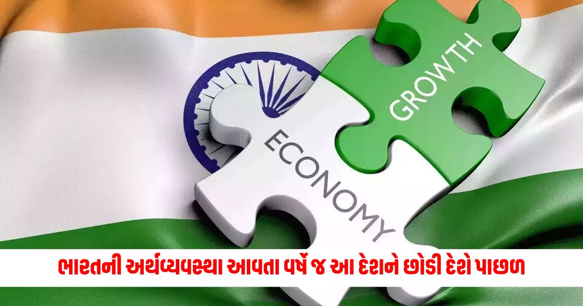 Indias economy will leave the country next year itself Nitiayog no drugs