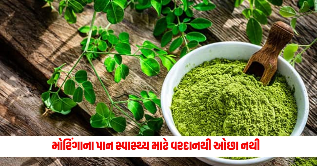 Moringa leaves are no less than a boon for health keeping such diseases ten villages away