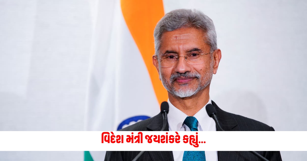 S Jaishankar Developed India is not just a slogan it is. External Affairs Minister Jaishankar said the world is watching us