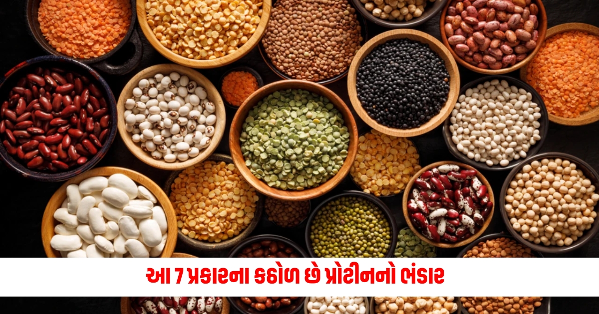 These 7 types of pulses are a storehouse of protein including them in the diet has many benefits