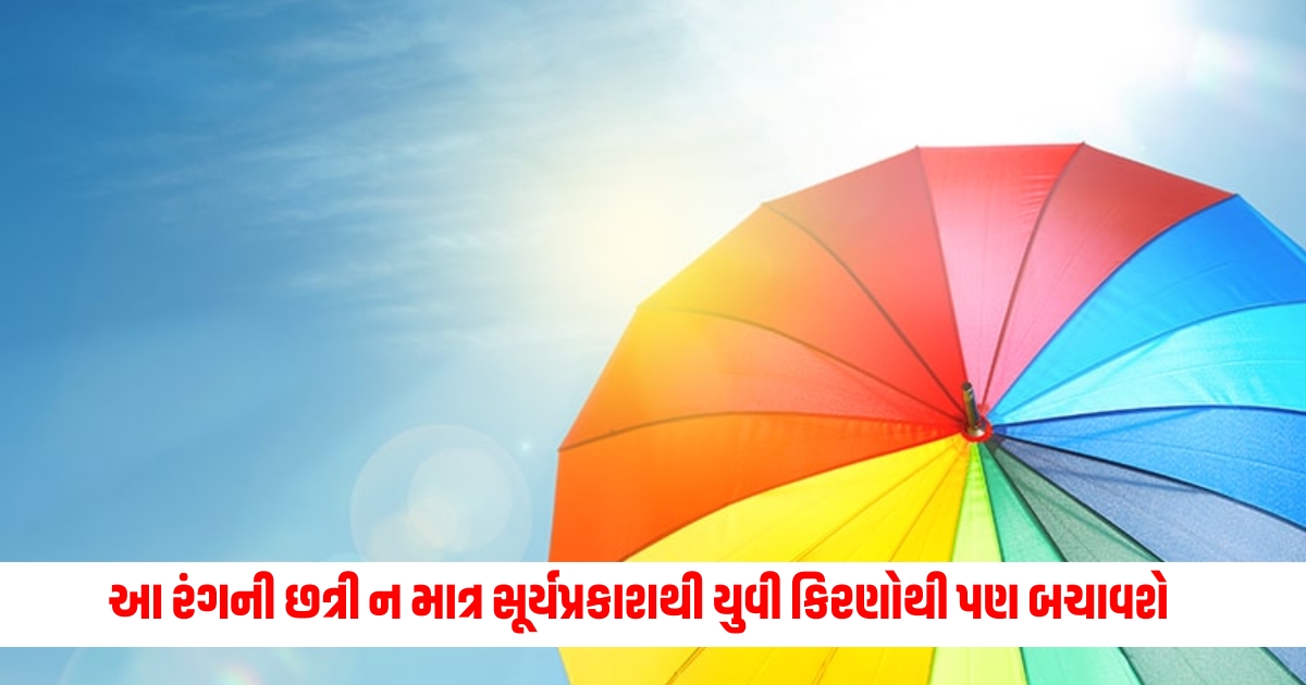 Umbrella Buying Tips: This colored umbrella will not only protect you from sunlight but also from UV rays, know from the expert why it is important to choose the right umbrella.