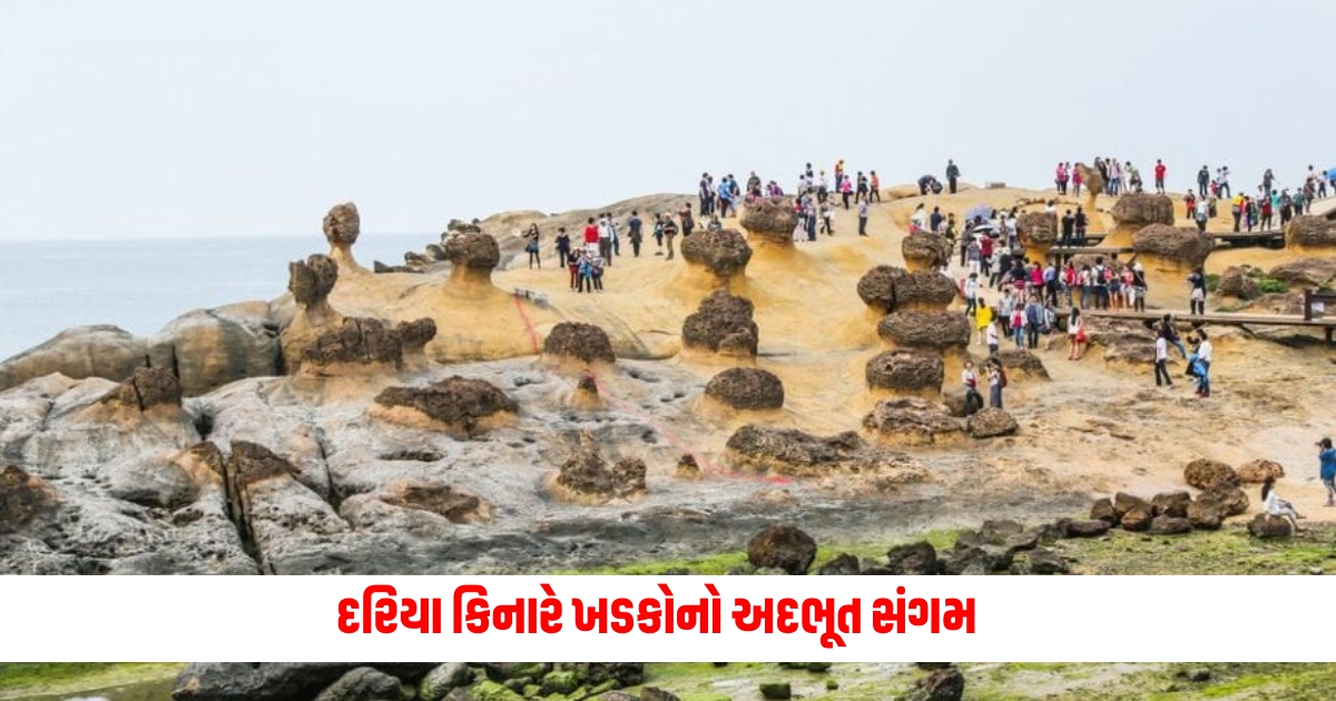 You might not have seen such a park a spectacular confluence of rocks on the beach long lines to take photos 1