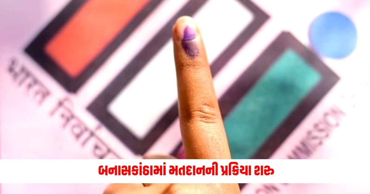 banaskantha lok sabha seat election 2024 voting percentage bjp congress14