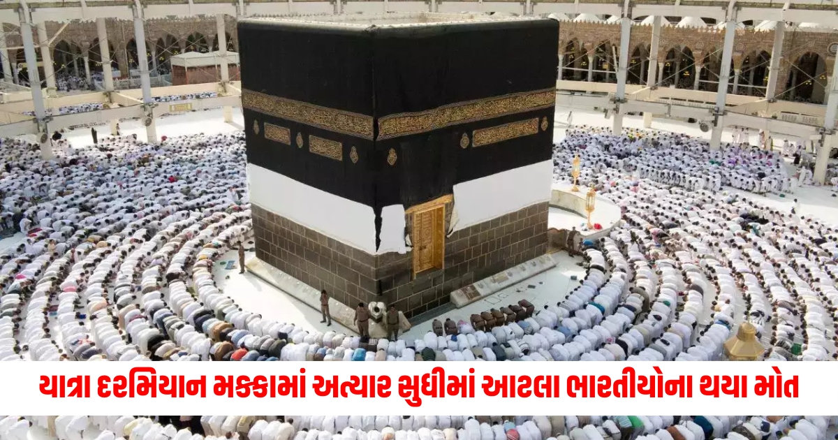 98 indians pilgrimage died in mecca during haj foreign ministry told the data