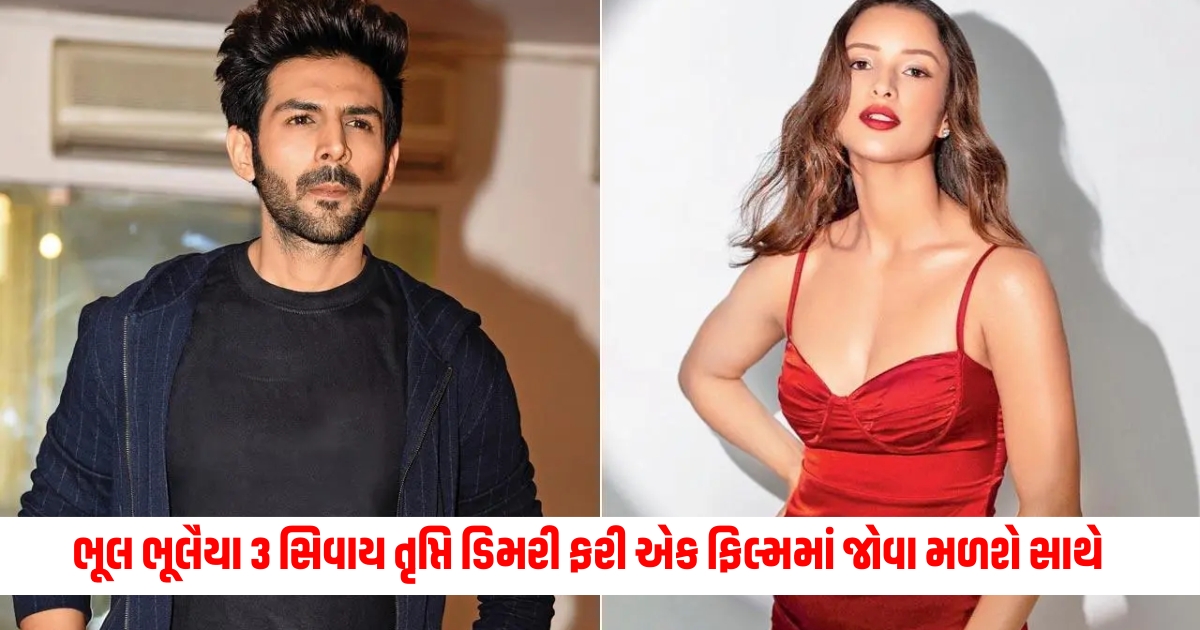 Apart from Bhoola Bhoolaiyya 3 Tripti Dimri will be seen in another film with Kartik Aryan the shooting of which will begin this month