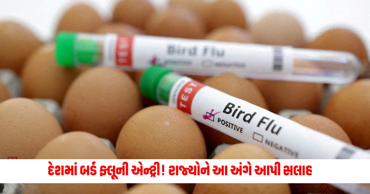 Entry of bird flu in the country Center advises States on Avian Influenza