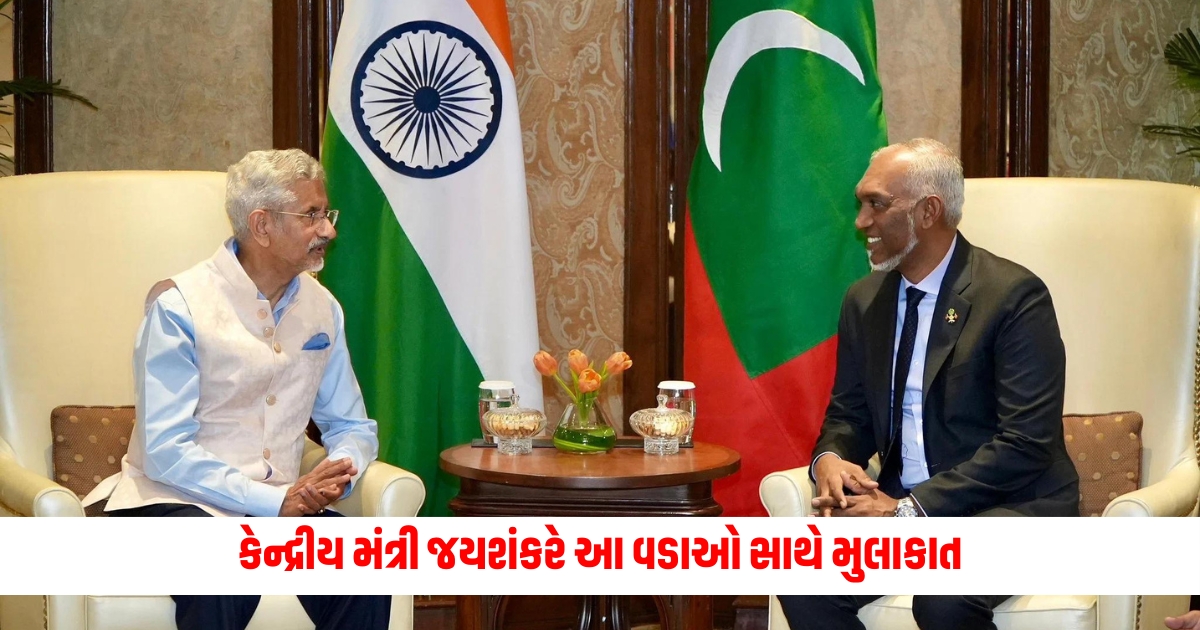 Union Minister Jaishankar meets heads of Maldives Sri Lanka and Bangladesh says ready to work