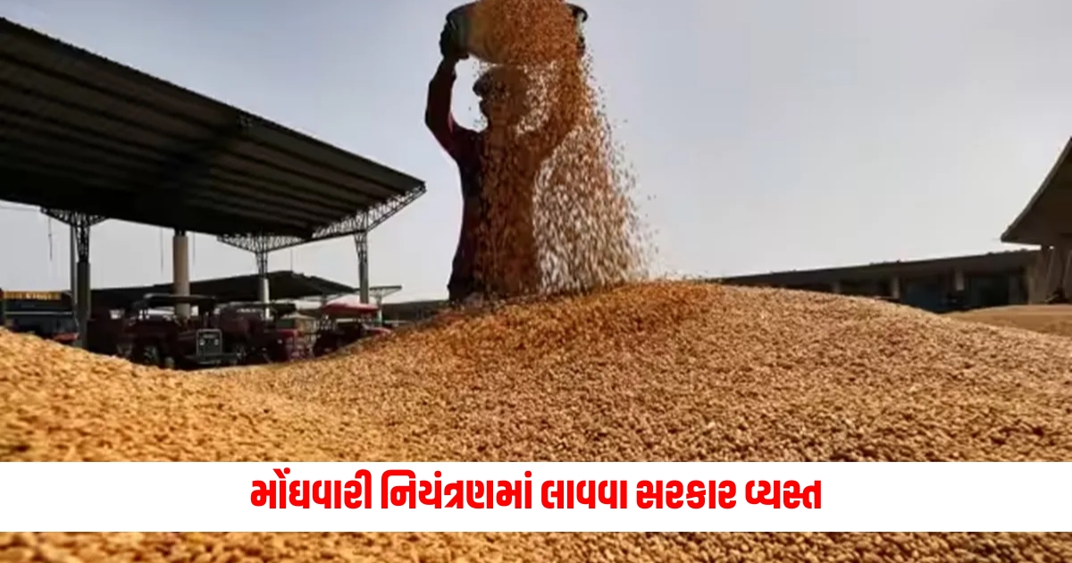 biz government is trying to control inflation preparations for wheat stock to enter open market if needed