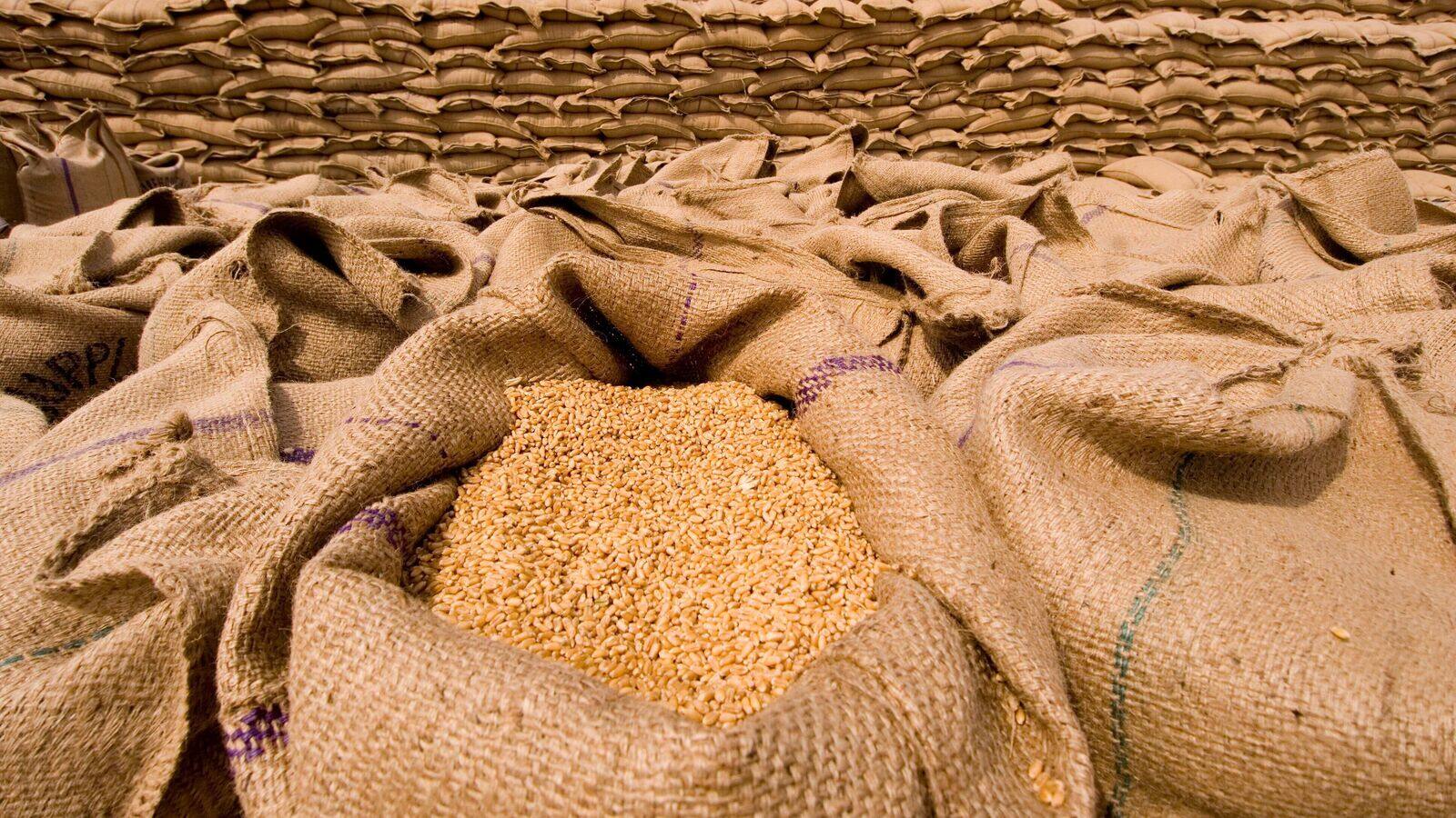 biz government is trying to control inflation preparations for wheat stock to enter open market if needed1