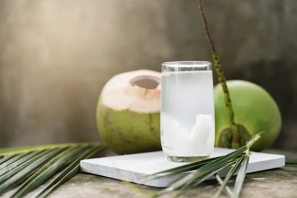 do you know from where coconut water comes trending gk quiz general knowledge1