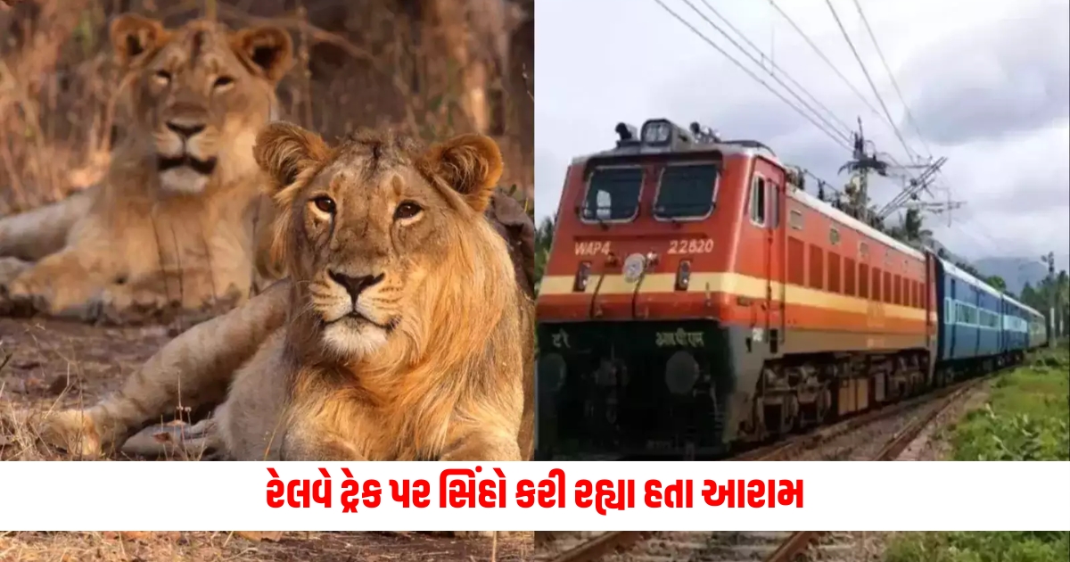 driver stopped goods train after seeing ten lions on track in gujarat bhavnagar f