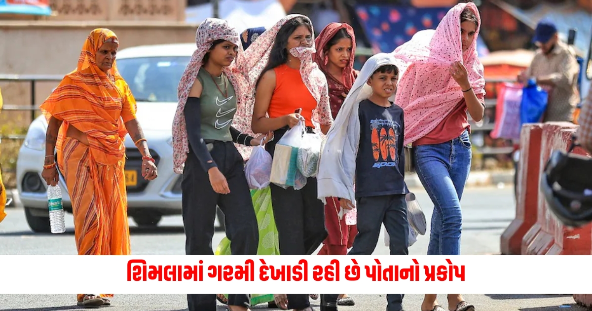 himachal pradesh shimla imd heatwave alert expect light rainfall on june 15 2024 f