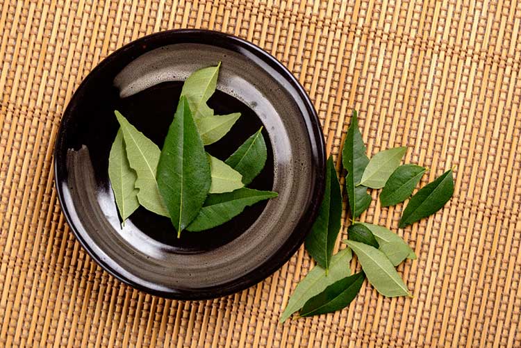 how to use curd and bay leaves for glowing skin at home skin care tips2