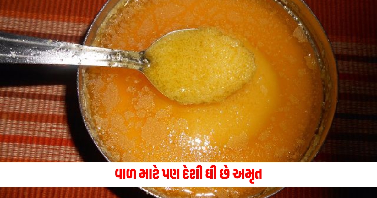 how to use desi ghee in hair care to removes dandruff better growth strength follow these 3 methods in gujarati