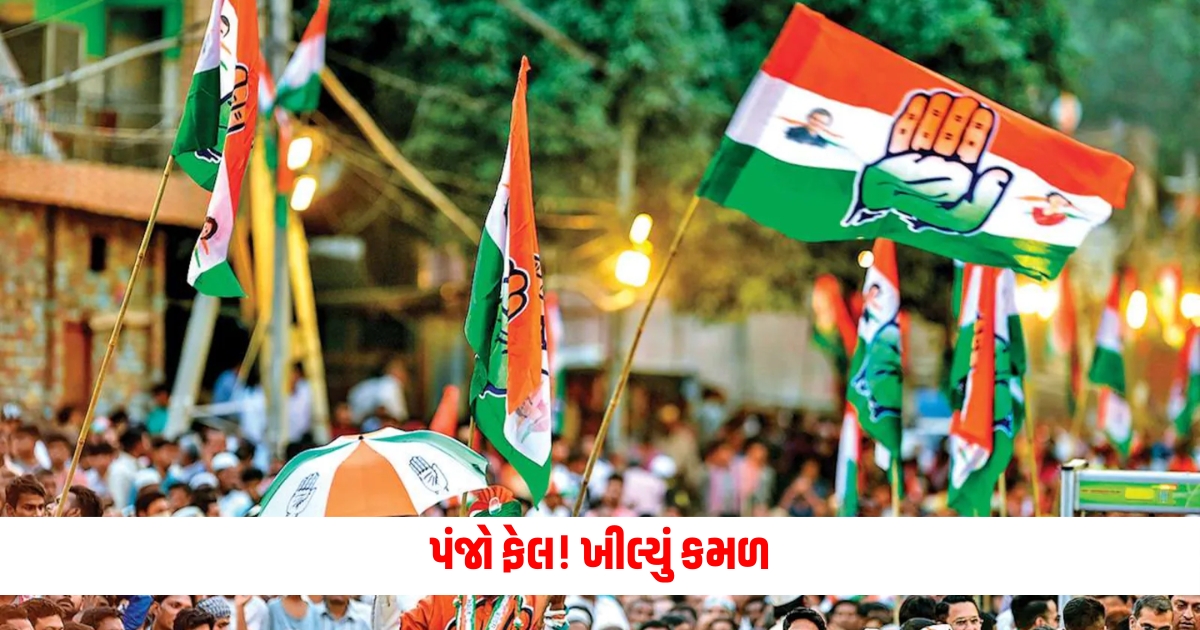 junagadh lok sabha election result 2024 party wise bjp congress aap election winner losers candidates lis