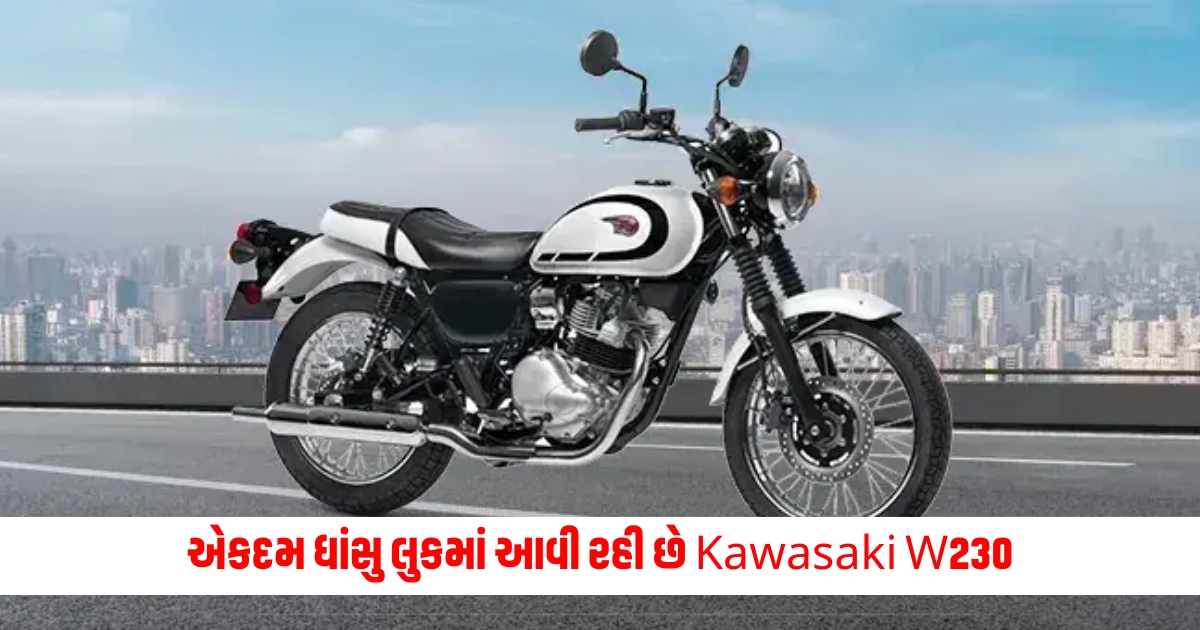 kawasaki w230 launch soon with amazing looks check price features full details f