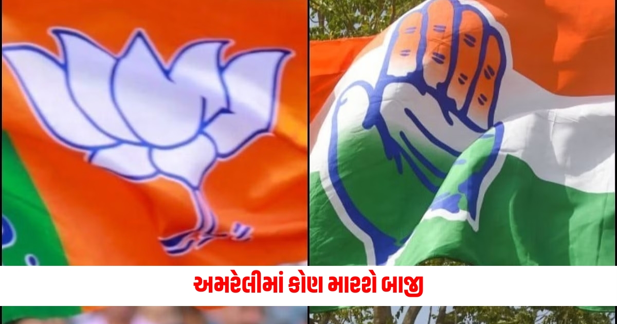 lok sabha election 2024 result live amreli win congress or bjp