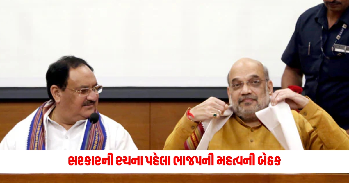 lok sabha election jp nadda bjp nda meeting amit shah and other politicians