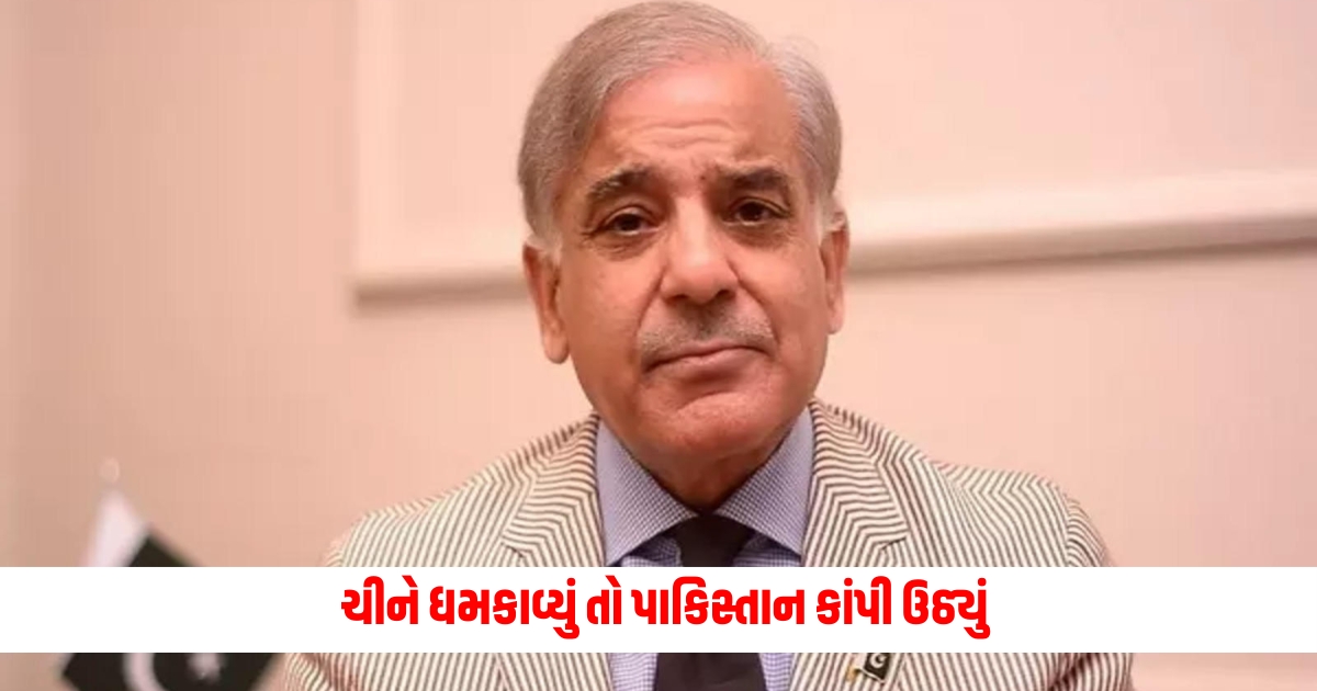 pakistan china cpec project news pm shahbaz sharif vowed to protect cpec F