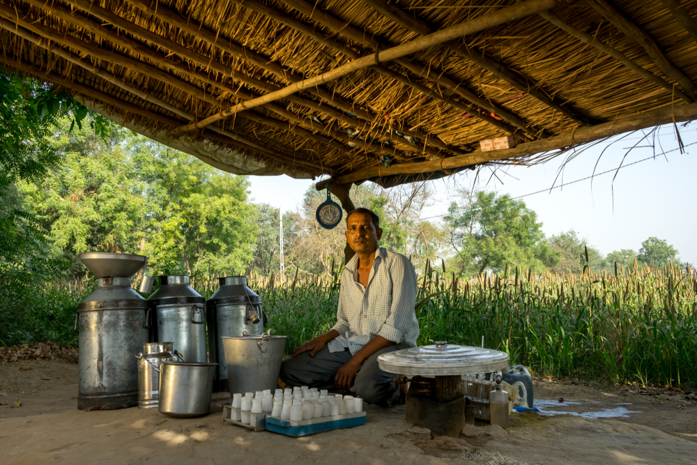 saharsa village of bihar is called the milk factory milk is prepared on big furnaces early morning 2