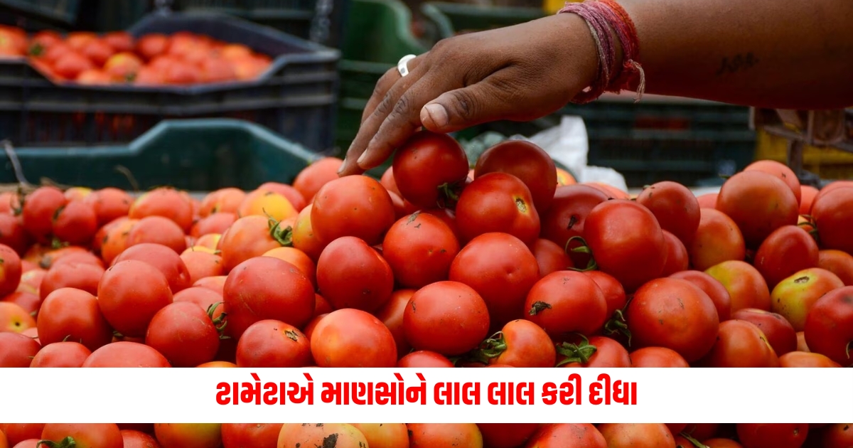 tomato prices hit 100 rupees per kg in some cities details