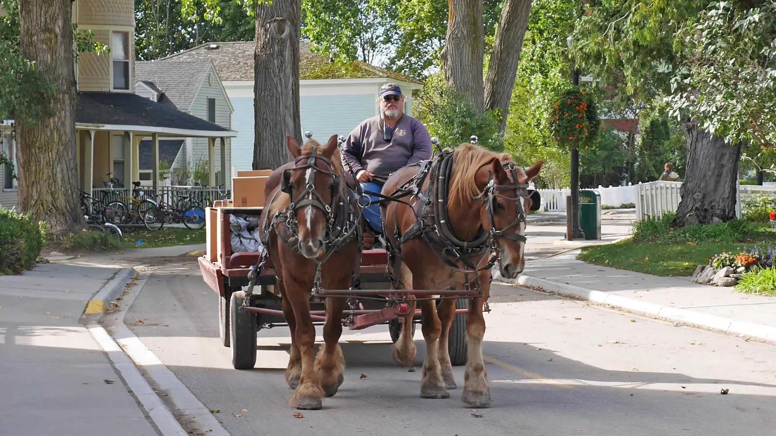 united states mackinac island where no cars are driven on road bizarre news 1