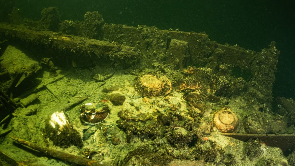 19th century treasure discovered in the baltic sea precious champagne found in the wreck of a 171 year old ship 1