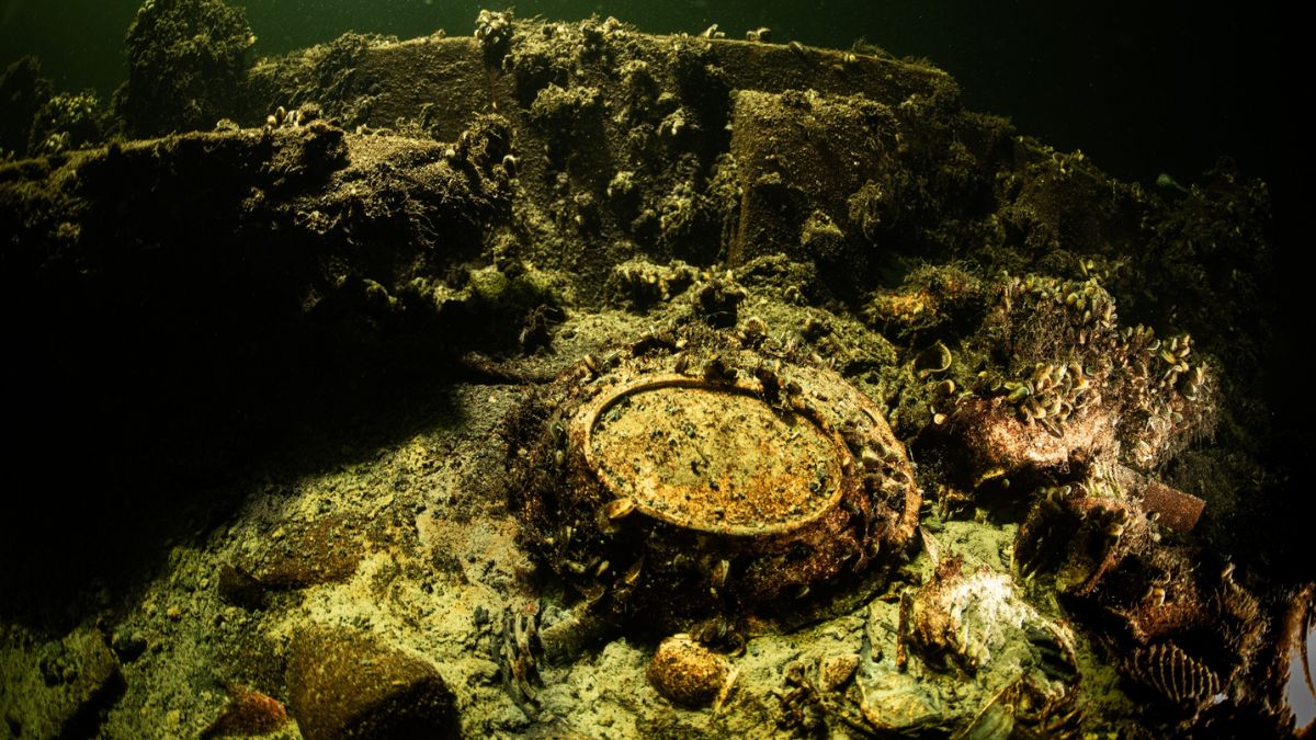 19th century treasure discovered in the baltic sea precious champagne found in the wreck of a 171 year old ship 3