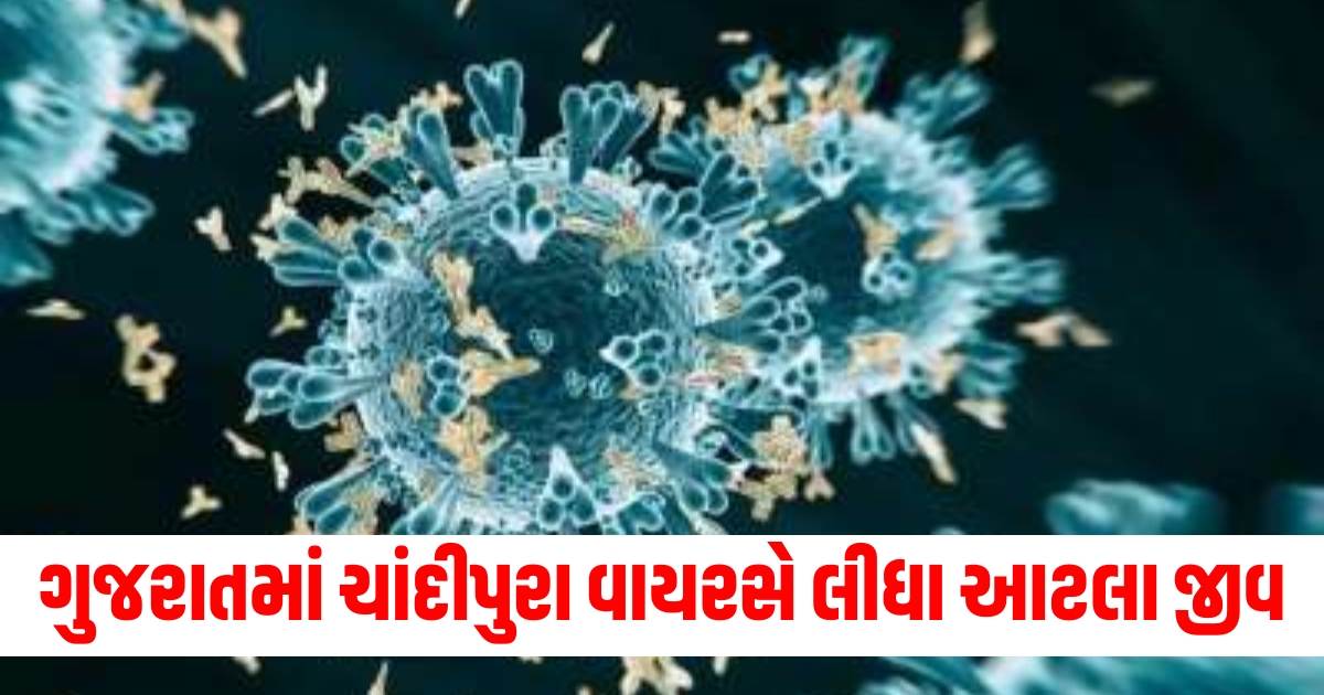 Chandipura virus has claimed so many lives in Gujarat said the health minister Copy